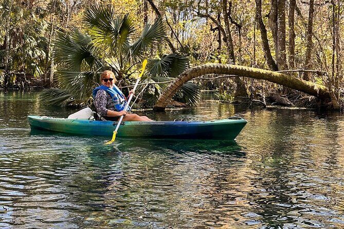 Sassy’s Silver Springs Kayak and Paddleboard Tours - Park Admission: The $6 Extra That Affects Your Real Budget
