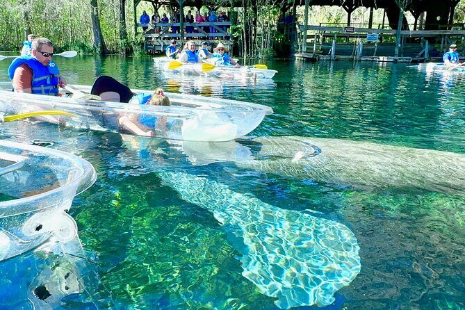 Sassy’s Silver Springs Kayak and Paddleboard Tours - Your Two-Hour Float at Silver Springs: What to Expect on the Water