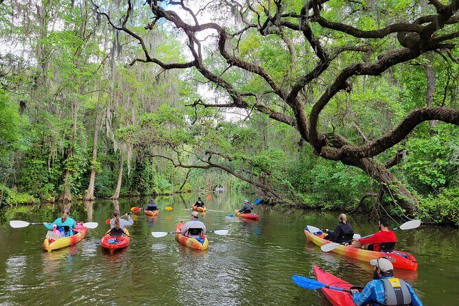 Scenic Half-Day Kayak or Paddleboard Rental – Dora Canal - Entering the Dora Canal From Downtown Tavares