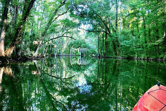 Scenic Half-Day Kayak or Paddleboard Rental – Dora Canal - What to Bring (So Your Phone and Back Don’t Hate You)