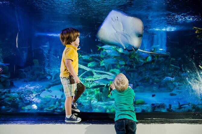 SEA LIFE Orlando Aquarium Admission Ticket at ICON Park - Ticket value and timing: prebooking vs. showing up