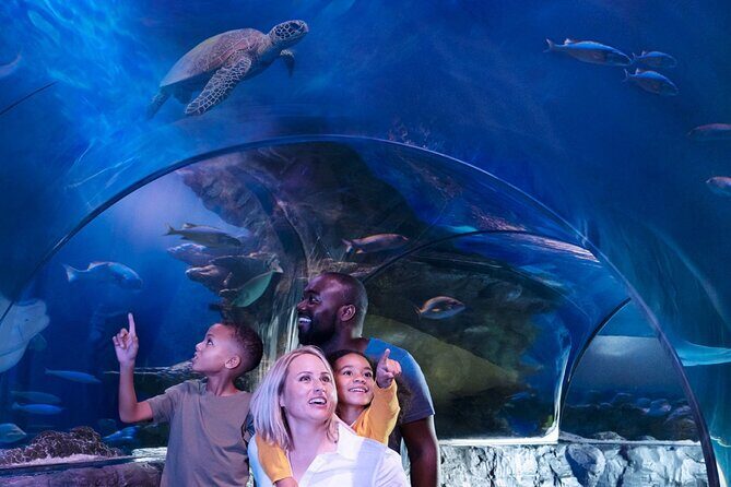 SEA LIFE Orlando Aquarium Admission Ticket at ICON Park - Feedings, demonstrations, and the conservation story