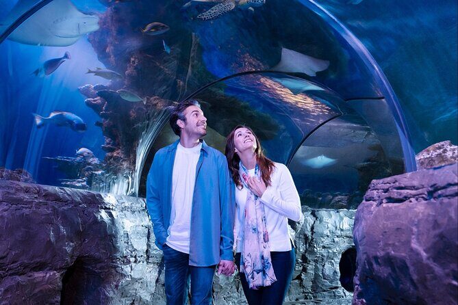 SEA LIFE Orlando Aquarium Admission Ticket at ICON Park - Photo stops and digital photos: how to avoid surprises