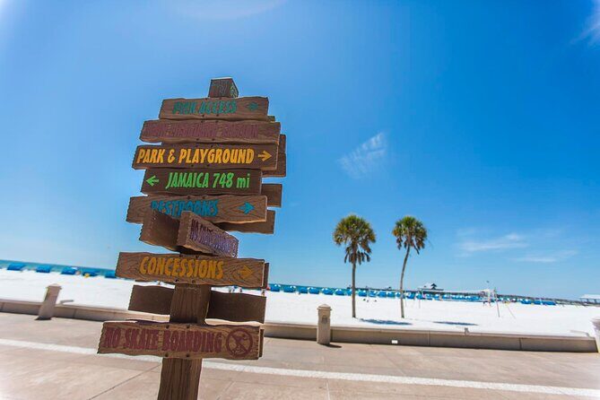 Sea Screamer Boat Cruise in Clearwater Beach with Transport - The Sea Screamer Speedboat Ride: Thrills, Dolphins, and Sea-Air Cooling