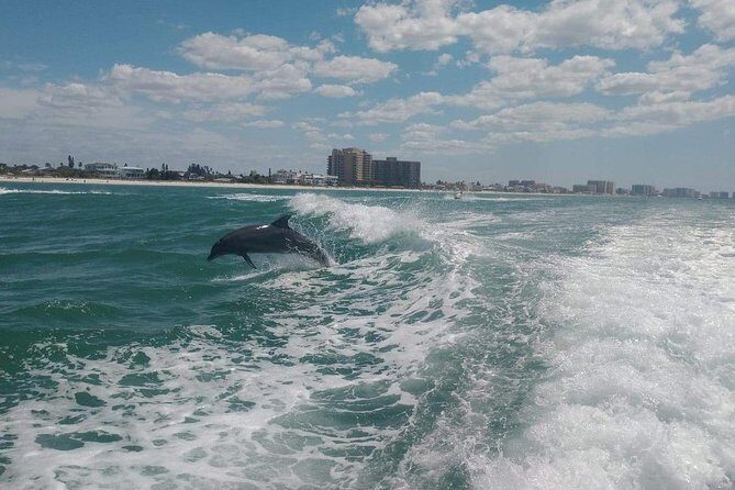 Sea Screamer Boat Cruise in Clearwater Beach with Transport - Price and Value: What $129 Really Covers
