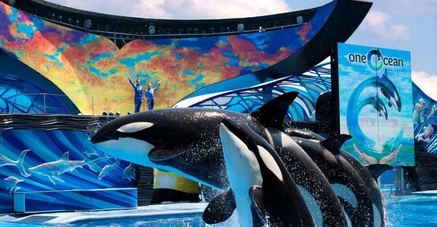 SeaWorld Orlando: Park Admission Ticket - SeaWorld Orlando in One Day: Thrills Plus Animal Time