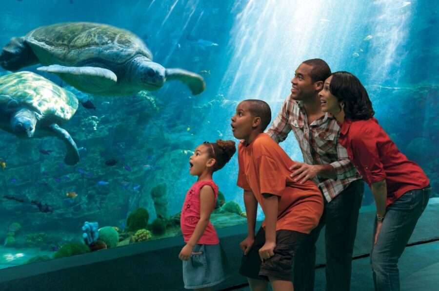SeaWorld Orlando: Park Admission Ticket - Marine Habitats You Can Actually Slow Down For