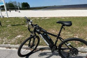 Self Guided Lakefront Tour on Electric Bike in Kissimmee (3 hrs.) - The Kissimmee-to-St. Cloud ride: 2 miles of water, birds, and pauses