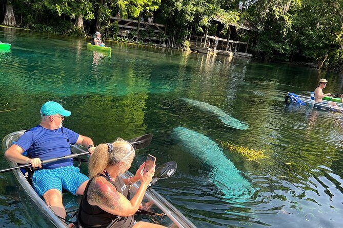 Silver Springs Clear Kayak Manatee, Monkey & Wildlife Adventures - Silver Springs, seen from below in a clear kayak