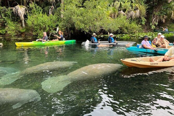 Silver Springs Clear Kayak Manatee, Monkey & Wildlife Adventures - Getting there from Orlando: a day-trip that’s actually doable