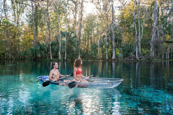 Silver Springs: Clear Kayak Wildlife Adventure - Key Highlights to Know Before You Go