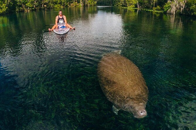 Silver Springs: Clear Kayak Wildlife Adventure - Budget Check: Value, Inclusions, and the $4 Launch Fee