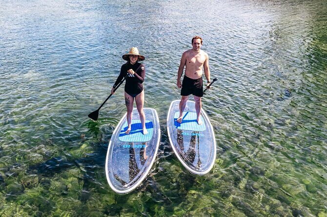 Silver Springs: Clear Kayak Wildlife Adventure - Who This Tour Suits Best (And Who Should Skip It)