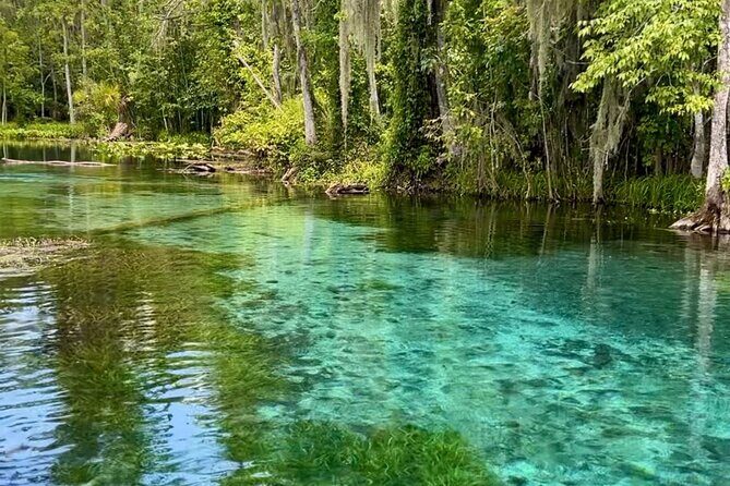 Silver Springs: Clear Kayaking Wildlife Tour - Clear Kayaks at Silver Springs: Why This Tour Feels Different