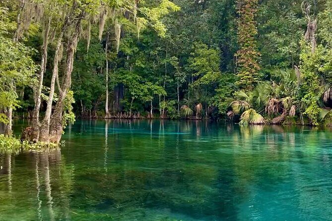 Silver Springs: Clear Kayaking Wildlife Tour - Price and Value: Is $65 Worth It?
