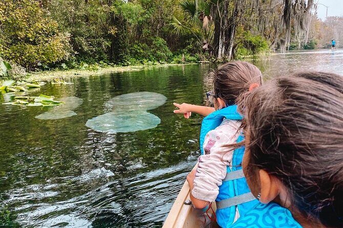 Silver Springs - Glass Bottom Kayak Rental - Price and Value: $50 Rental Plus the $6 Park Fee