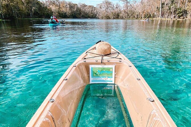 Silver Springs Glass Bottom Kayak Tour - Why Silver Springs Looks Different From the Kayak Seat