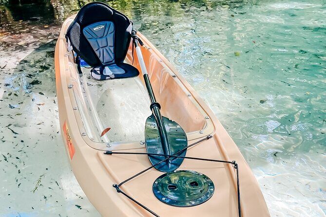 Silver Springs Glass Bottom Kayak Tour - Wildlife Watching That Feels Personal (Because You’re Actually Close)