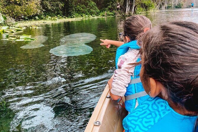Silver Springs Glass Bottom Kayak Tour - Paddling Rules, Safety, and What “Continuous” Means for Your Body