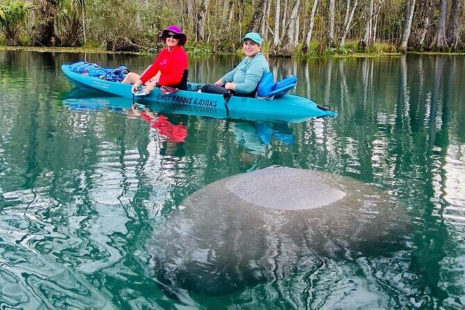 Silver Springs Glass Bottom Kayak Tour - Who This Tour Fits Best (And Who Might Want Another Option)