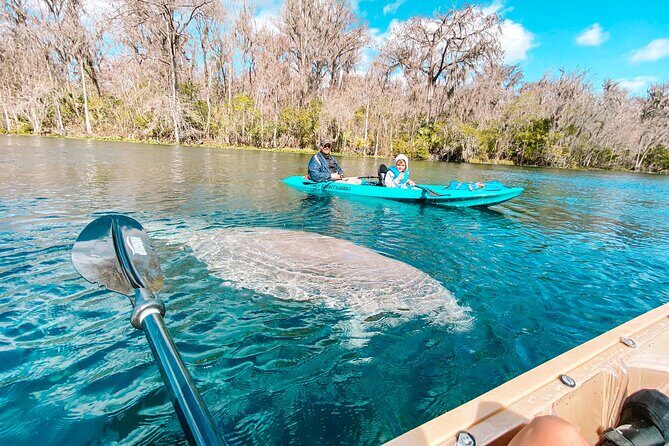 Silver Springs Glass Bottom Kayak Tour - Price and Value: What $39.50 Actually Buys You