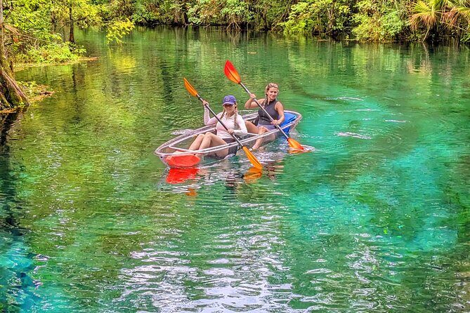 Silver Springs Jungle Kayaking and Paddleboarding - Silver Springs Jungle Kayaking: Clear Water, Real Wildlife, Zero Rush