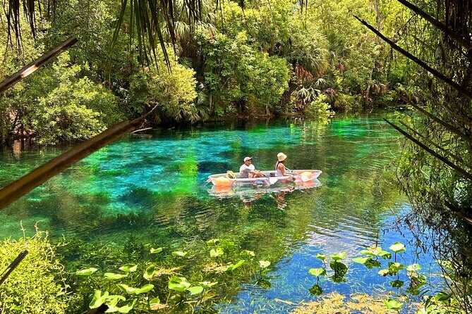 Silver Springs Jungle Kayaking and Paddleboarding - Timing, Meeting Point, and Getting Ready to Paddle