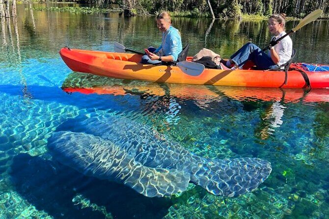 Silver Springs Jungle Kayaking and Paddleboarding - Who Should Book This (and Who Might Skip)