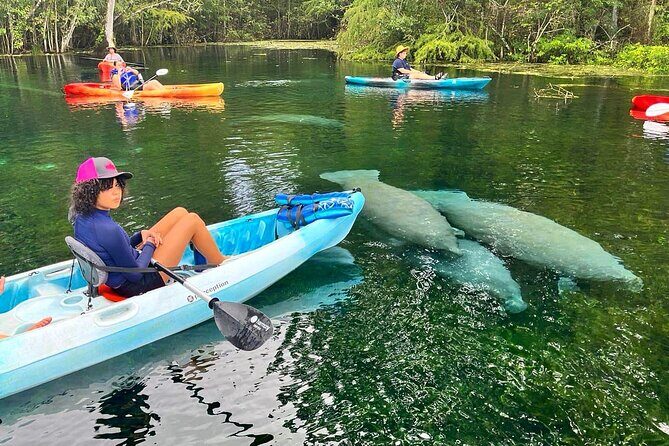 Silver Springs Kayak Rental - The Best Florida Adventure - Key things I’d highlight before you go