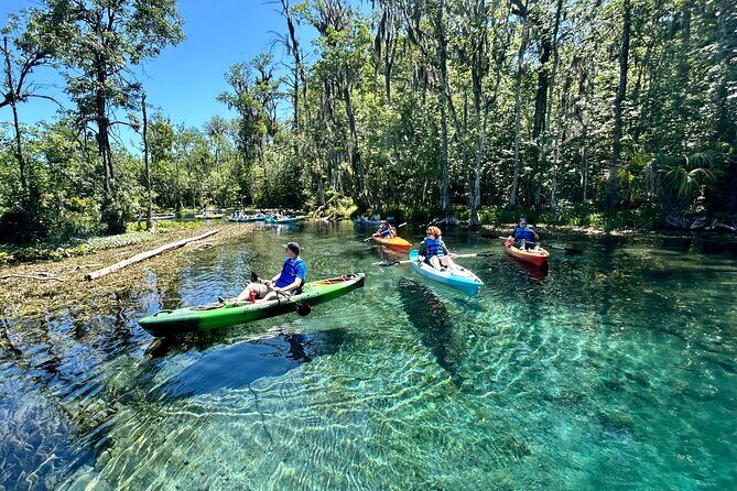 Silver Springs Kayak Rental - The Best Florida Adventure - Comfort, timing, and the one drawback to watch for