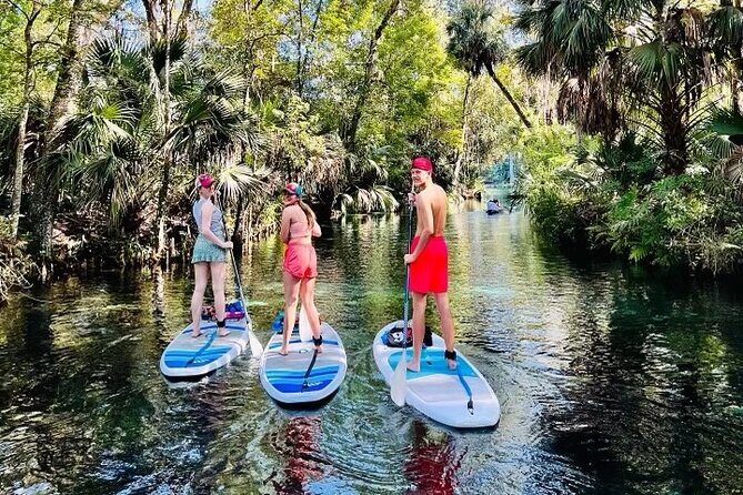Silver Springs Kayak Rental - The Best Florida Adventure - Tips to make your paddle smoother (without overthinking it)