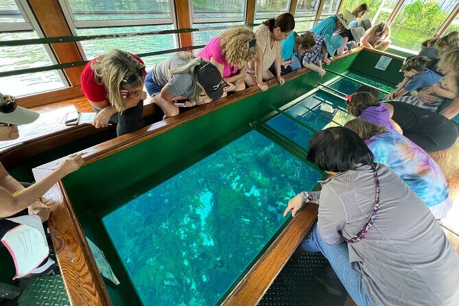 Silver Springs Manatee Kayak, Glass Boat Small Group Max 14 Tour - Key points at a glance