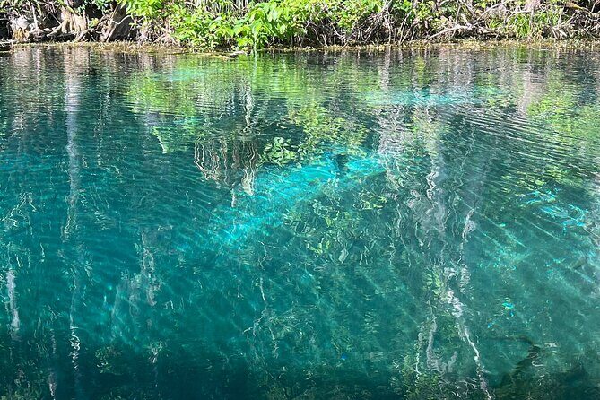 Silver Springs Manatee Kayak, Glass Boat Small Group Max 14 Tour - Glass Bottom Boat: the clearest way to see what’s underwater