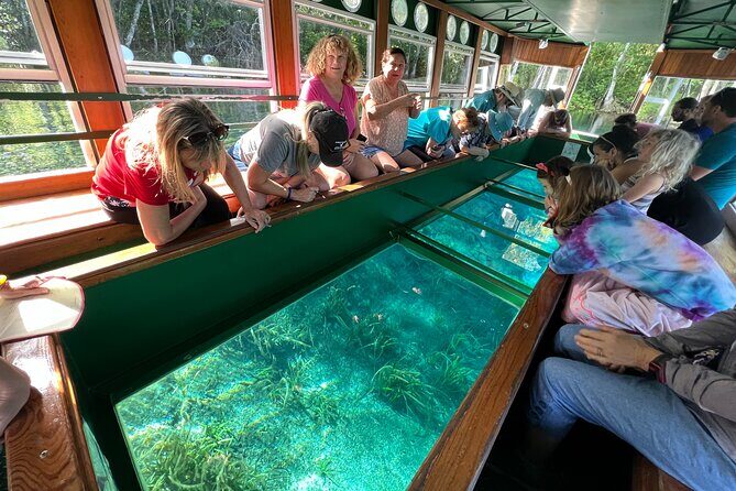 Silver Springs Manatee Kayak, Glass Boat Small Group Max 14 Tour - Walking trails, overlooks, and wildlife spotting without rushing