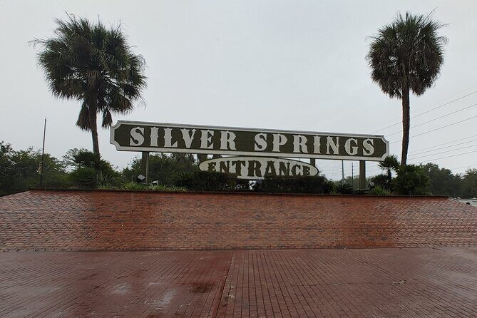 Silver Springs Manatee Kayak Tour - Value check: is $65 worth it for Silver Springs manatees?