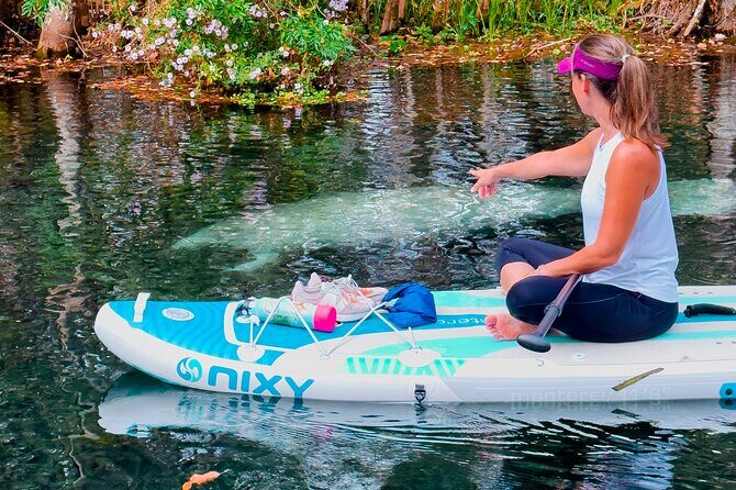 Silver Springs Manatee & Monkeys Paddle Board Tour - Silver Springs Manatee & Monkeys Paddle Board Tour: The Big Picture