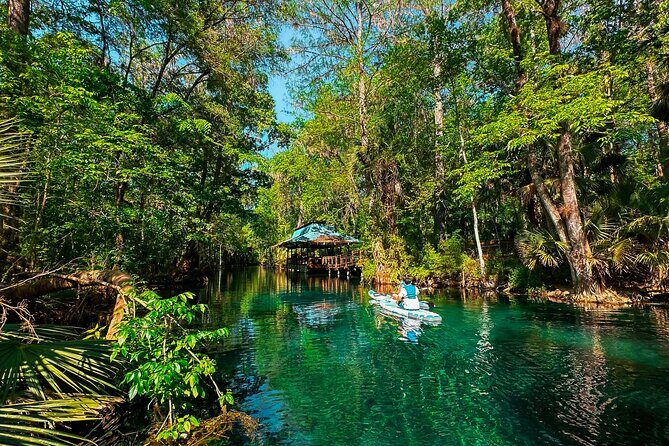Silver Springs Manatee & Monkeys Paddle Board Tour - Where You Start and How the Paddling Feels