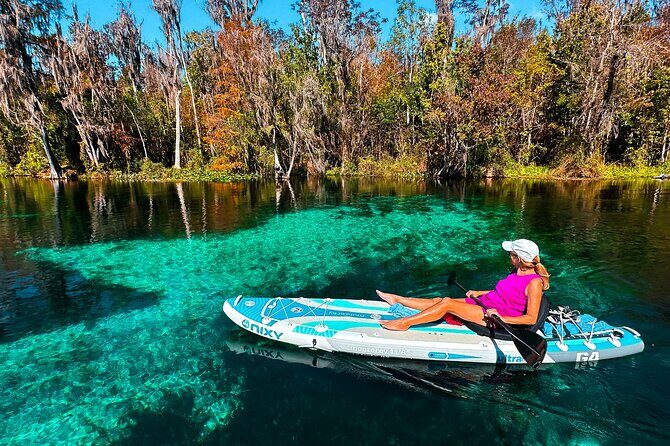 Silver Springs Manatee & Monkeys Paddle Board Tour - Following the Current: Why This Stretch Works for First-Timers
