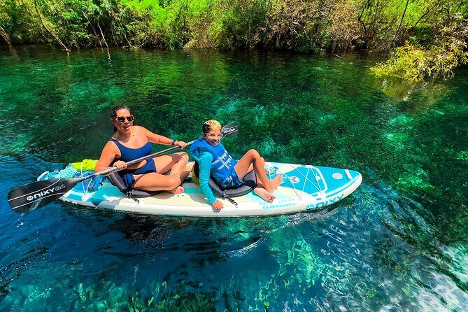 Silver Springs Manatee & Monkeys Paddle Board Tour - Equipment, Safety, and What to Bring