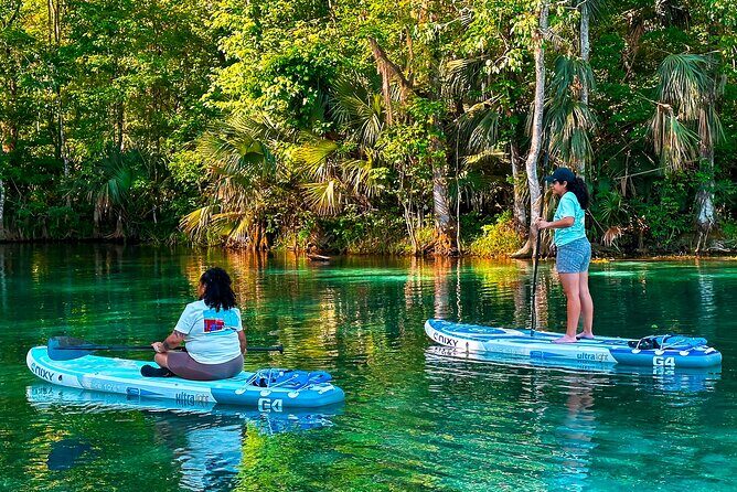 Silver Springs Manatee & Monkeys Paddle Board Tour - Price and Value: What Your $69 Actually Buys