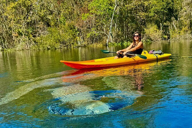 Silver Springs Premium Florida Wildlife Experience! - Kayaking Silver Springs: what the water and canopy feel like