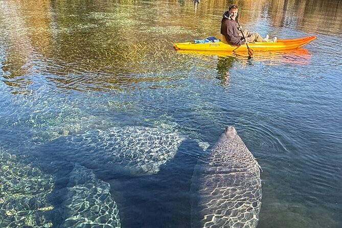 Silver Springs Premium Florida Wildlife Experience! - Price and value: what $65 really buys, plus the required fees