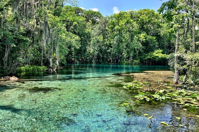 Silver Springs Premium Florida Wildlife Experience! - Where you meet and how to make it smooth