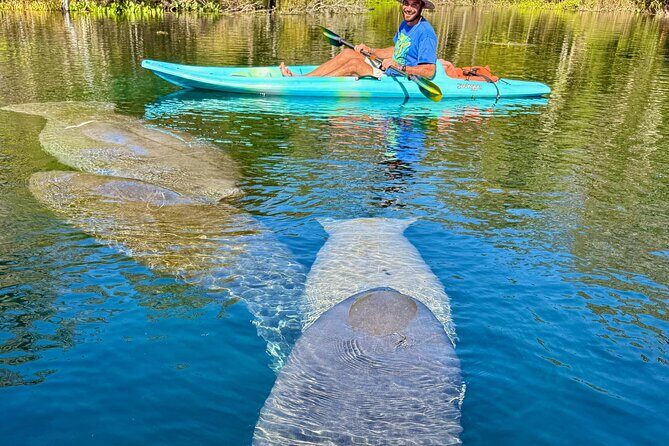 Silver Springs Premium Florida Wildlife Experience! - Who should book this kayak wildlife tour (and who might skip)