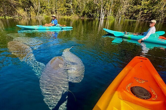 Silver Springs Premium Florida Wildlife Experience! - The guide matters: how Tania’s approach changes the whole tone