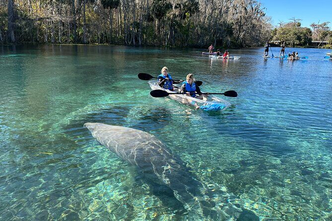 Silver Springs Self Guided Clear Kayak Rentals - Key things to know before you go
