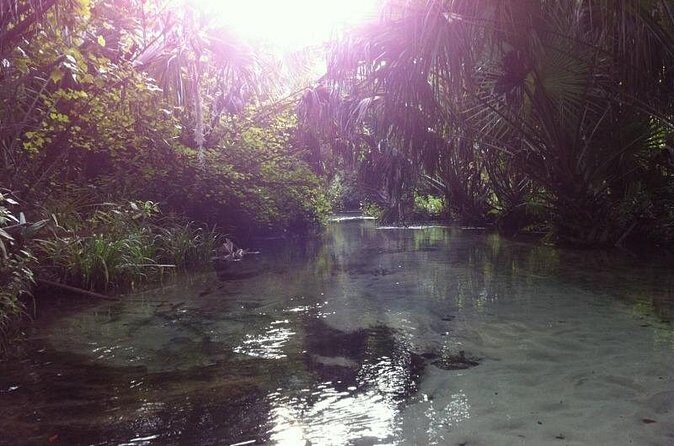 Silver Springs Self Guided Clear Kayak Rentals - Reaching the main spring: where the water pumps out 550 gallons a day