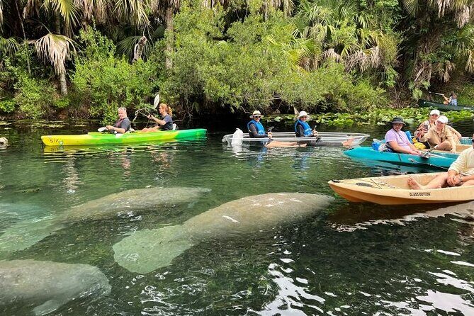 Silver Springs Self Guided Clear Kayak Rentals - Practical tips: weight limits, weather, and what to pack