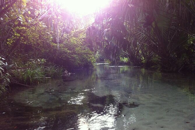 Silver Springs Self Guided Clear Kayak Rentals - Price and value: why $65 can be a smart deal