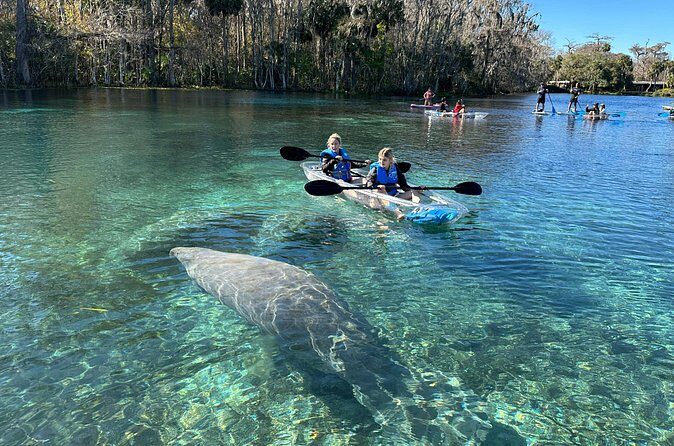 Silver Springs Self Guided Clear Kayak Rentals - Who this clear kayak trip fits best